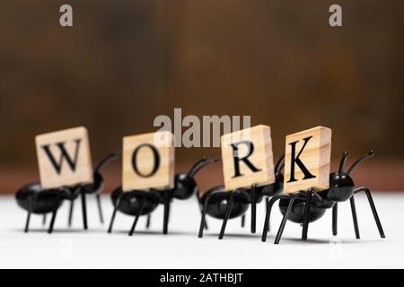 Vier Ameisen tragen Buchstaben, aus denen das Wort Arbeit macht Stockfoto