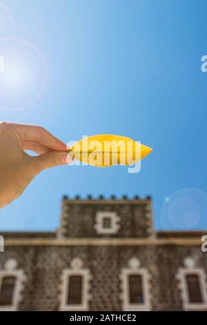 Weibliche Hand mit gelbem Blatt an der Kirche des Vorrangs des heiligen Peter Hintergrund. Tabgha, Israel. Blauer Himmel mit Sonnenblendung Stockfoto