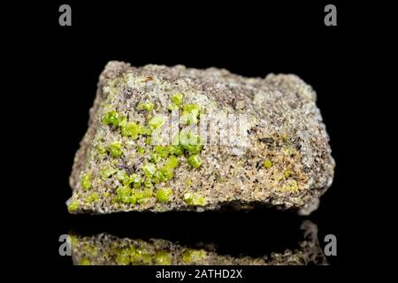 Roher Peridot- oder Olivinmineralstein vor schwarzem Hintergrund, Mineralogie und Esoterik Stockfoto