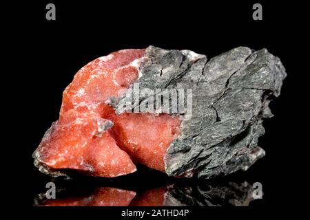 Roher roter Baryte auf Muttergestein, mineralischer Stein vor schwarzem Hintergrund, Mineralogie und Geologie Stockfoto