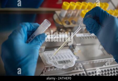 29. Januar 2020, Baden-Württemberg, Stuttgart: Mitarbeiter des Landesgesundheitsamtes Baden-Württemberg pipettiert Proben in einem Labor, in dem Influenzaviren vermutet werden. Foto: Marijan Murat / dpa Stockfoto