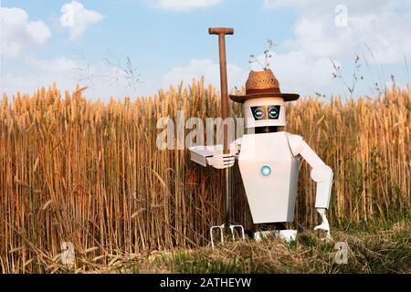 Roboterbauer mit Pitchfork steht vor einem Maisfeld, Konzepte wie Technologie in der Landwirtschaft oder autonomer Ai-Roboter in der Landwirtschaft sind Stockfoto