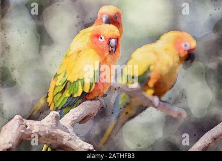 Aquarellgemälde von Sun Conure Parrot Auf Dem Ast Stockfoto