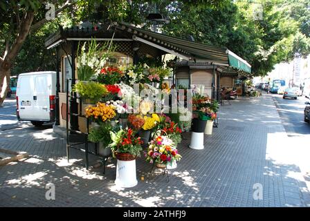 Blumenstall entlang der Alameda Principal, Málaga, Provinz Málaga, Andalucia, Spanien, Westeuropa. Stockfoto