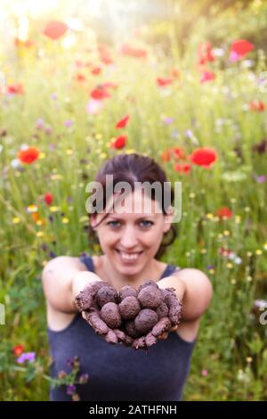 Frau hält frisch hergestellte Samenkugeln oder Samenbomben vor einem bunten Blumenfeld Stockfoto