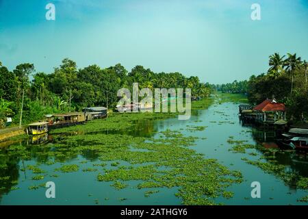 Ein Rückwasser in Kerala. Aus einer Reihe von Reisefotos in Kerala, Südindien. Fotodatum: Dienstag, 14. Januar 2020. Foto: Roger Garfield/Alamy Stockfoto