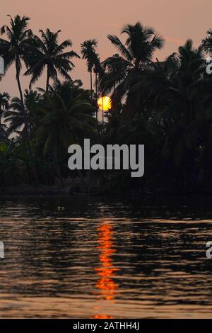 Ein Rückwasser in Kerala. Aus einer Reihe von Reisefotos in Kerala, Südindien. Fotodatum: Mittwoch, 15. Januar 2020. Foto: Roger Garfield/Alamy Stockfoto