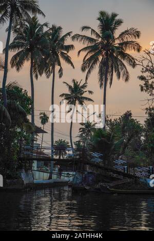 Ein Rückwasser in Kerala. Aus einer Reihe von Reisefotos in Kerala, Südindien. Fotodatum: Mittwoch, 15. Januar 2020. Foto: Roger Garfield/Alamy Stockfoto