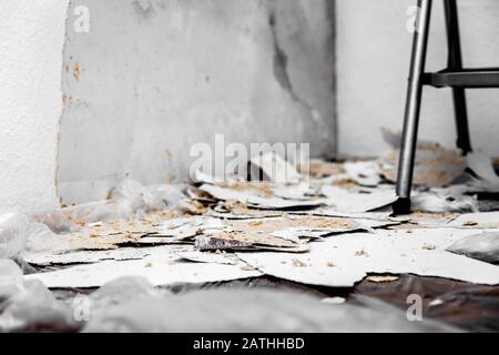 Holzspantapeten werden entfernt oder von der Wand abgeschabt, Reste liegen auf dem Boden auf einer Folie oder Plane, Konzeptumbau oder Renovierung Stockfoto