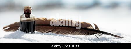 Quill und winkend im Schnee, mittelalterliche Kalligraphie schreiben Arbeitsgerät und Utensil, Panorama Stockfoto