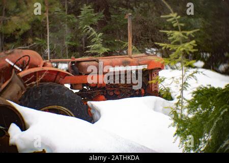 Ein alter, roter 1958 oder 1959 internationaler Dieseltraktor im Schnee, in einem Waldgebiet, in Noxon, Montana. Stockfoto