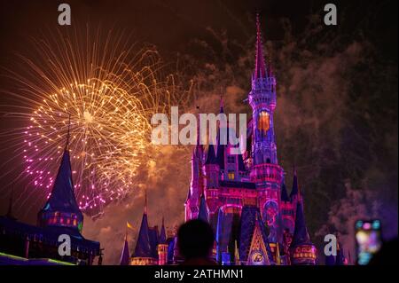 Orlando, USA - 19. januar 2020: Menschen, die Feuerwerk im disney Park mit Kindern auf Schultern ertragen Stockfoto