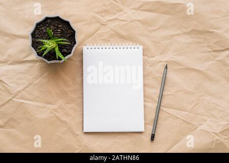 Leerer Notizblock und Kaktusprägnant auf dem Desktop. Gartenarbeit für die Blumenpflege. Horizontaler Kopierbereich für Rahmen. Draufsicht einer flachen Laie Stockfoto