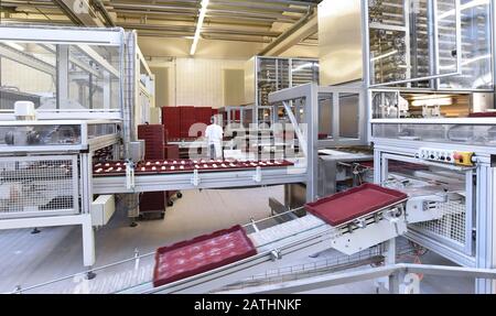 Industrielle Produktion von Backwaren auf einer Montagelinie - Technologie und Maschinen in der Lebensmittelfabrik Stockfoto