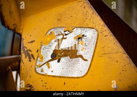 Ein gelber John Deere-Schleuderroller Der Serie JD 440 aus Gummi im Wald in Noxon, Montana Stockfoto