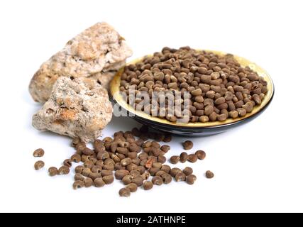 Abelmoschus moschatus oder Ambrette Samen mit natürlichem Ambergris. Isoliert auf weißem Hintergrund Stockfoto