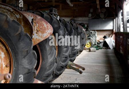 Traktorreifen. Taktorräder. Eine Reihe alter Bauernschlepper, die in einer Scheune aufgereiht sind, auf einer Milchfarm im Nordosten Georgias. Stockfoto