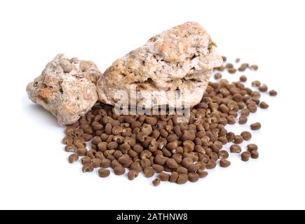 Abelmoschus moschatus oder Ambrette Samen mit natürlichem Ambergris. Isoliert auf weißem Hintergrund Stockfoto