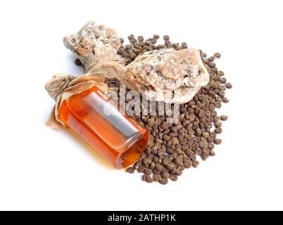 Abelmoschus moschatus oder Ambrette Samen mit natürlichem Ambergris. Isoliert auf weißem Hintergrund Stockfoto