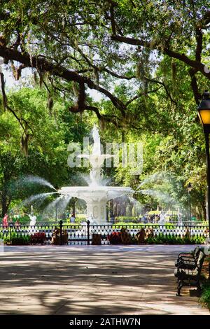 Brunnen im Forsyth Park Unter Oaks Stockfoto