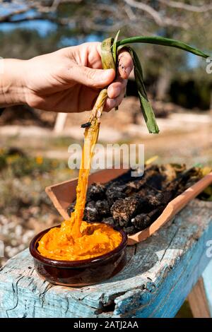 Mann, der ein gegrilltes calcot, eine süße Zwiebel, die typisch für Katalonien, Spanien, in Rosesco-Sauce taucht, wie man normalerweise Calcots isst, im Freien Stockfoto