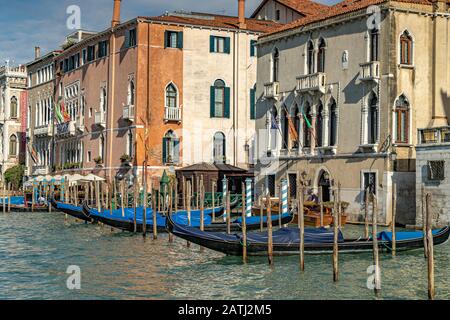 Leere Gondeln wölben sich auf Holz-Anlegestellen am Canal Grande, Venedig Stockfoto