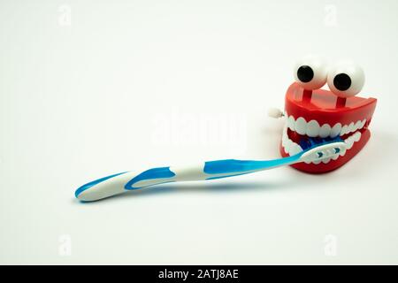 Zahnbürste im Mund von lustigen ratternden Zähnen Spielzeug auf weißem Hintergrund Stockfoto