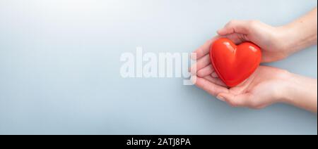 Die Frau hält ein rotes Herz. Konzept für Wohltätigkeitsorganisation, Krankenversicherung, Liebe, internationaler Kardiologietag. Stockfoto