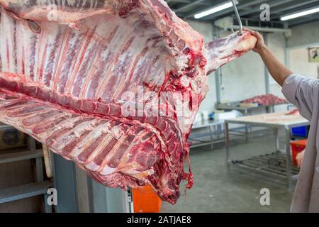 Rindfleisch in einem Schlachthof oder Metzger einer Kuh in Thailand. Stockfoto