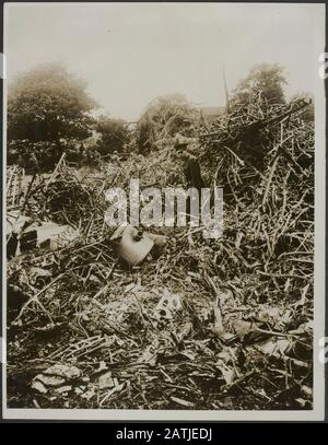 Beschreibung: Untersuchung der Trümmer Anmerkung: Soldaten untersuchen die Trümmer eines abgestürzten Zeppelins Datum: 23. September, 1916 Ort: England Schlagwörter: Luftschiffe, Soldaten, Kriege, Wracks Stockfoto