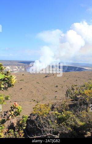 Hawaii Vulkane National Park - Krater auf der Caldera Halemaumau. Kilauea Vulkan und endemischer Lehua Baum Stockfoto