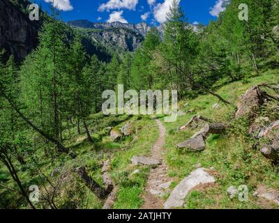 Wanderweg im Naturpark von Alta Valle Antrona, Piemont, Italien Stockfoto