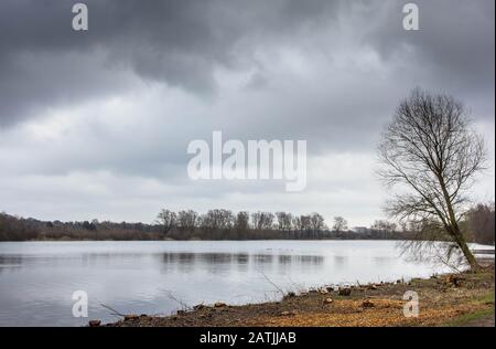 Landschaft des Rural River Im Winter An einem Übergiebelten Tag Erschossen Stockfoto