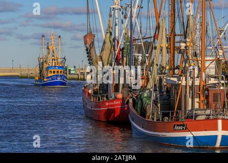 Krabbenschneider Hafen Neuharlingersiel an der Nordsee/Deutschland. Stockfoto