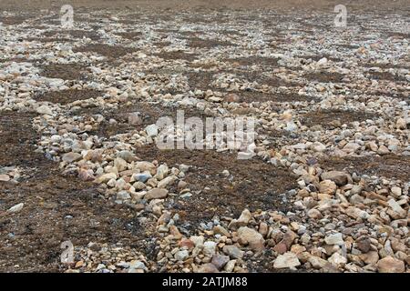 Teilweise geschmolzen und eingestürzte Lithalsien - schwere, in Permafrost gefundene Hügel - hinterließen kreisähnliche Strukturen auf der Tundra, dem Svalbard-Archipel, Norwegen Stockfoto