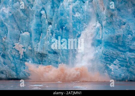 Riesiger Eisklumpen, der vom Rand des Kongsbreen-Gletschers bricht, der in Kongsfjorden, Spitzbergen/Spitzbergen, Norwegen kalbt Stockfoto