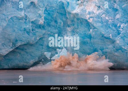 Riesiger Eisklumpen, der vom Rand des Kongsbreen-Gletschers bricht, der in Kongsfjorden, Spitzbergen/Spitzbergen, Norwegen kalbt Stockfoto