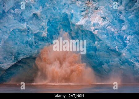 Riesiger Eisklumpen, der vom Rand des Kongsbreen-Gletschers bricht, der in Kongsfjorden, Spitzbergen/Spitzbergen, Norwegen kalbt Stockfoto