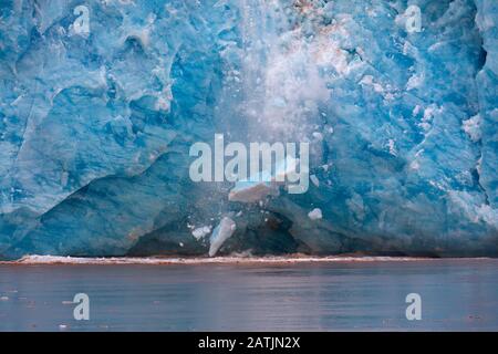 Riesiger Eisklumpen, der vom Rand des Kongsbreen-Gletschers bricht, der in Kongsfjorden, Spitzbergen/Spitzbergen, Norwegen kalbt Stockfoto