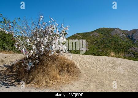 Ein großer Busch, der an einem sonnigen Sommertag, der Krim, mit bunten Bändern gegen einen blauen Himmel und Berge gefesselt ist. Stockfoto