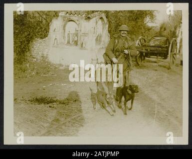 Britische offizielle Fotografien aus Italien Beschreibung: Zwei britische Botenstoffe. Anmerkung: Britische Truppen in Italien. Soldat mit zwei Kurierhunden. Datum: {1914-1918} Ort: Italien Schlagwörter: WWI, Hunde, Kuriere, Soldaten Stockfoto