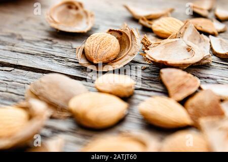 Der Kern von Aprikosen und Steinen auf dem Hintergrund alter Bretter. Aprikosengruben zur Herstellung von Tabletten und Medikamenten. Nahaufnahme. Stockfoto