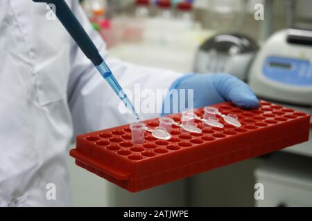 Im chemisch-biologischen Labor. Forscher am Arbeitsplatz. Stockfoto