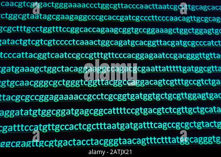 Abstrakter Hintergrund, genetischen Code. Sequenz von Nukleotidbasen in einem DNA-Fragment. Stockfoto