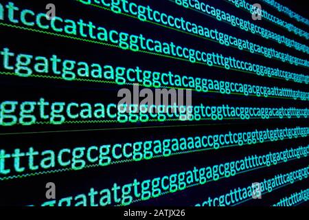 Abstrakter Hintergrund, genetischen Code. Sequenz von Nukleotidbasen in einem DNA-Fragment. Stockfoto