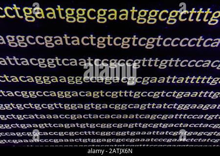 Abstrakter Hintergrund, genetischen Code. Sequenz von Nukleotidbasen in einem DNA-Fragment. Stockfoto