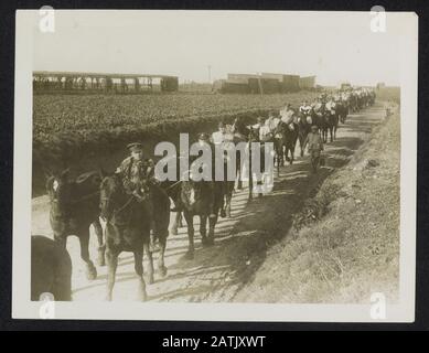 Mit den Kanadiern an der Westfront Beschreibung: Kanadische Artillerie-Pferde auf dem Weg zu Wasser Anmerkung: Die Kanadier in der großen Schlacht. Kanadische Artillerie-Pferde auf dem Weg zu einem Wasserloch Datum: {1914-1918} Stichworte: Trinkwasser, erster Weltkrieg, Fronten, Pferde, Soldaten Stockfoto