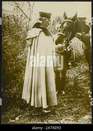 Beschreibung: Deutsches Kaiserpferd. Anmerkung: Kaiser Wilhelm II. Von Deutschland. Datum: {1914-1918} Stichwörter: WWI Pferde Dynastien Personenname: Wilhelm II., Kaiser von Deutschland Stockfoto