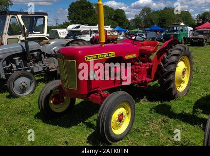 Dene Steam Fair and Transport Show, Seile-Hants, jeden juni Stockfoto