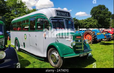 Dene Steam Fair and Transport Show, Seile-Hants, jeden juni Stockfoto